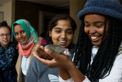 Students interact with animals at YeboGogga 2017.